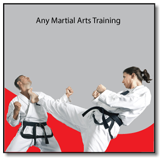 The Dojo To Go system is the perfect addition to kickboxing, martial arts & fitness training programs. Contact us today for product details & more!